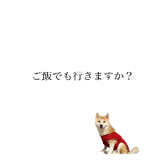 [LINEスタンプ] 柴犬 tiny ユッズ