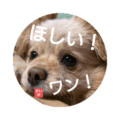 [LINEスタンプ] すいかデWhaoo！
