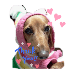 [LINEスタンプ] ワンコたちのスタンプ