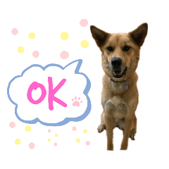 [LINEスタンプ] 山本アンと山本ルル