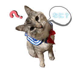 [LINEスタンプ] ハルハナ