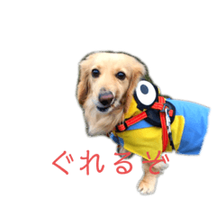 [LINEスタンプ] ミニチュアダックスモカの生活