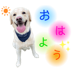 [LINEスタンプ] ロイたん1