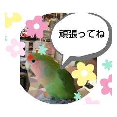 [LINEスタンプ] kawafamily16