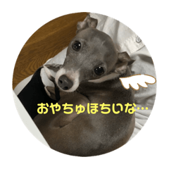 [LINEスタンプ] sophia grace2