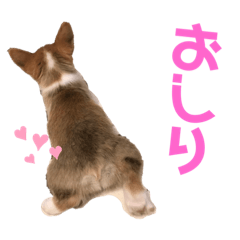 [LINEスタンプ] もことクウ2