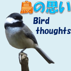 [LINEスタンプ] 鳥の思い