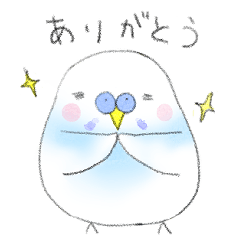 [LINEスタンプ] もふもふ！インコのちょびすけ★