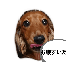 [LINEスタンプ] ABCスタンプ