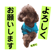 [LINEスタンプ] ひじきさんとゆかいな家族 vol.4