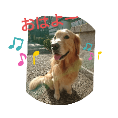 [LINEスタンプ] ももおスタンプ