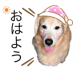 [LINEスタンプ] りっきーちゃんのきもち