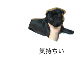 [LINEスタンプ] 黒パグあつあげ