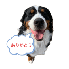 [LINEスタンプ] バニチャウスタンプ