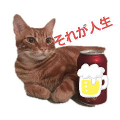 [LINEスタンプ] マサキさんちのネコ