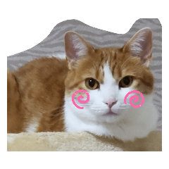 [LINEスタンプ] うめちゃ2
