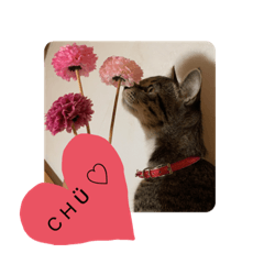 [LINEスタンプ] kuku❤︎日常編①