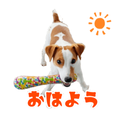 [LINEスタンプ] 無垢＆琥珀の毎日