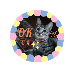 [LINEスタンプ] TENKOにゃんずฅ2