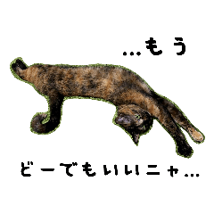 [LINEスタンプ] さびねこ わさび