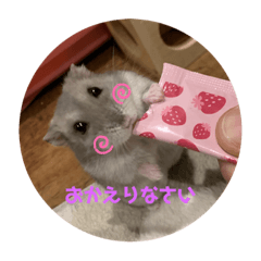 [LINEスタンプ] ハム助たん