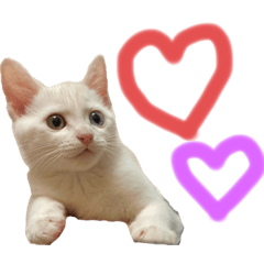 [LINEスタンプ] マロ氏スタンプ