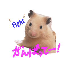 [LINEスタンプ] キンクマハムスターのドリスくん②