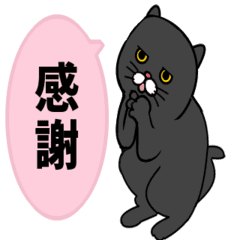 [LINEスタンプ] 黒猫のアニメーションスタンプvo2の画像（メイン）