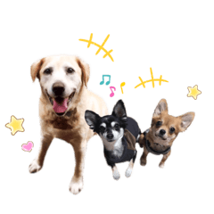 [LINEスタンプ] ラッキーと愉快な仲間たち