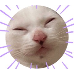[LINEスタンプ] にゃん達2