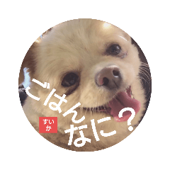 [LINEスタンプ] 今日のごはんなに食べる？