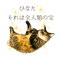 [LINEスタンプ] やっぱりすてきなひなたくん
