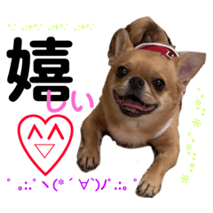[LINEスタンプ] ちっぷさんオフィシャル3