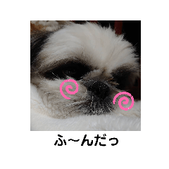 [LINEスタンプ] 我が家のもじゃ 7