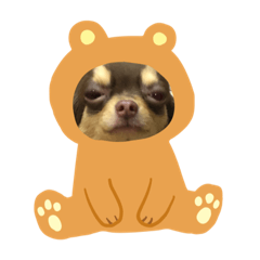 [LINEスタンプ] お銀ちゃん