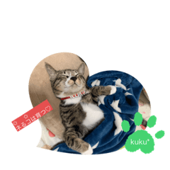 [LINEスタンプ] kuku*日常編②