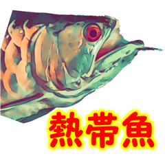 [LINEスタンプ] 可愛い 熱帯魚
