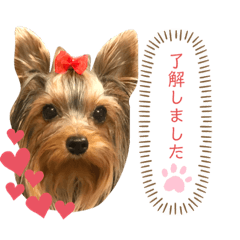 [LINEスタンプ] ロイとビジュー