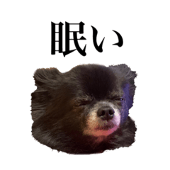 [LINEスタンプ] チロルの気持ち