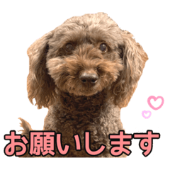 [LINEスタンプ] チャチャと一緒
