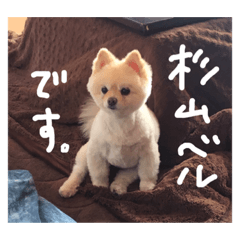 [LINEスタンプ] 杉山家のベル 2