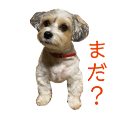 [LINEスタンプ] オリーヴスタンプ