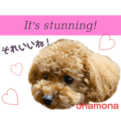 [LINEスタンプ] おはモナ English