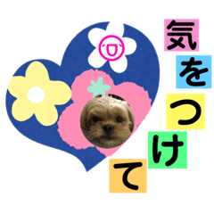 [LINEスタンプ] こぶやんとコタちゃんのスタンプだよの画像（メイン）