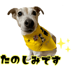 [LINEスタンプ] 仲良しトリオスタンプ