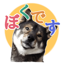 [LINEスタンプ] ぼくは四国犬