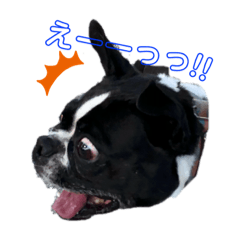 [LINEスタンプ] milly's3