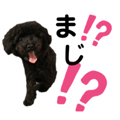 [LINEスタンプ] ティナあん