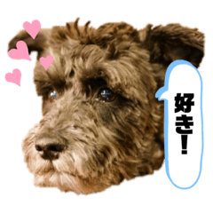 [LINEスタンプ] 黒シュナアディ2