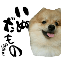 [LINEスタンプ] 毛玉のふきだしスタンプ